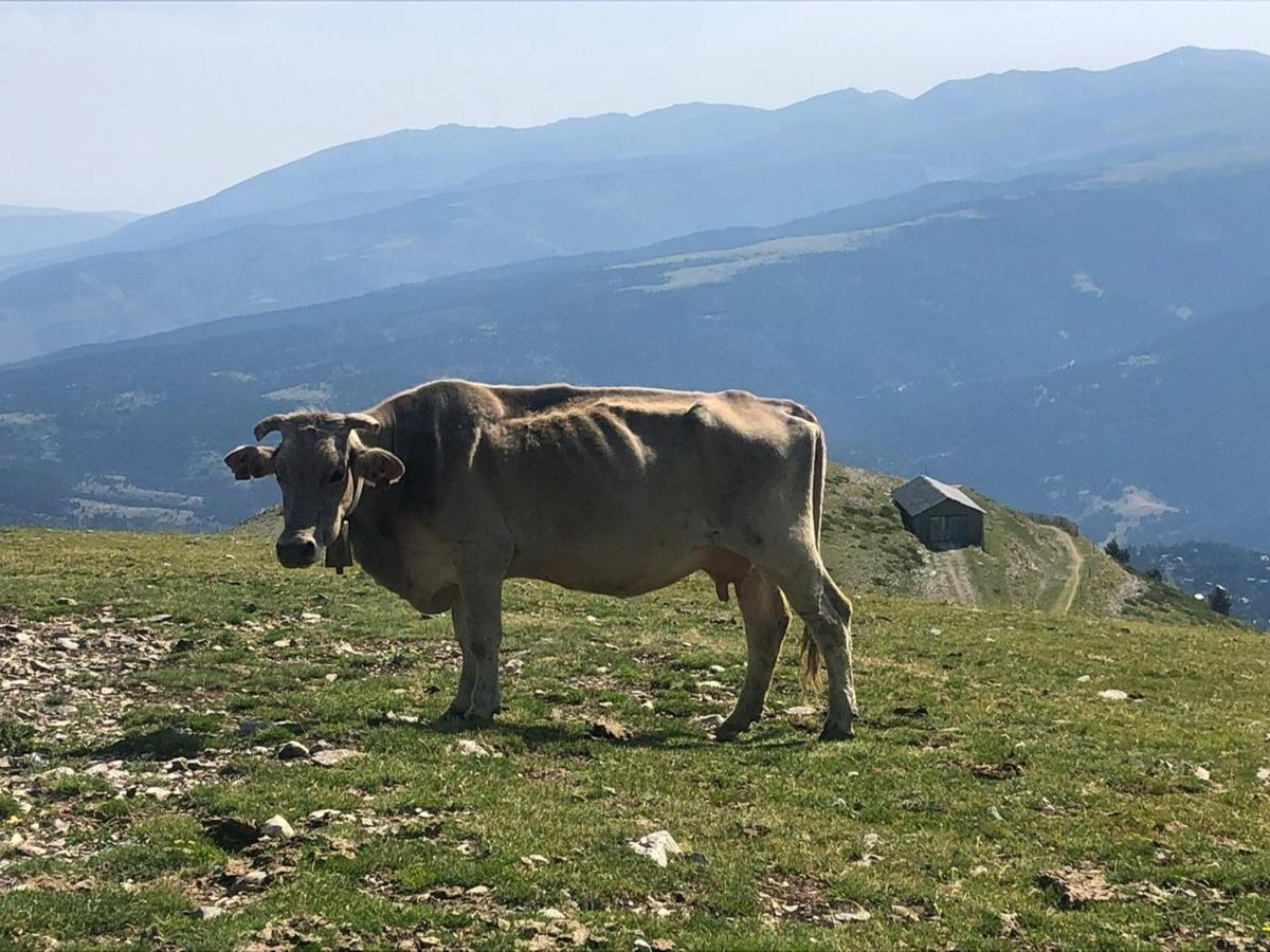 Panoramic Xalet La Molina Con Vistas Excelentes Villa Ngoại thất bức ảnh